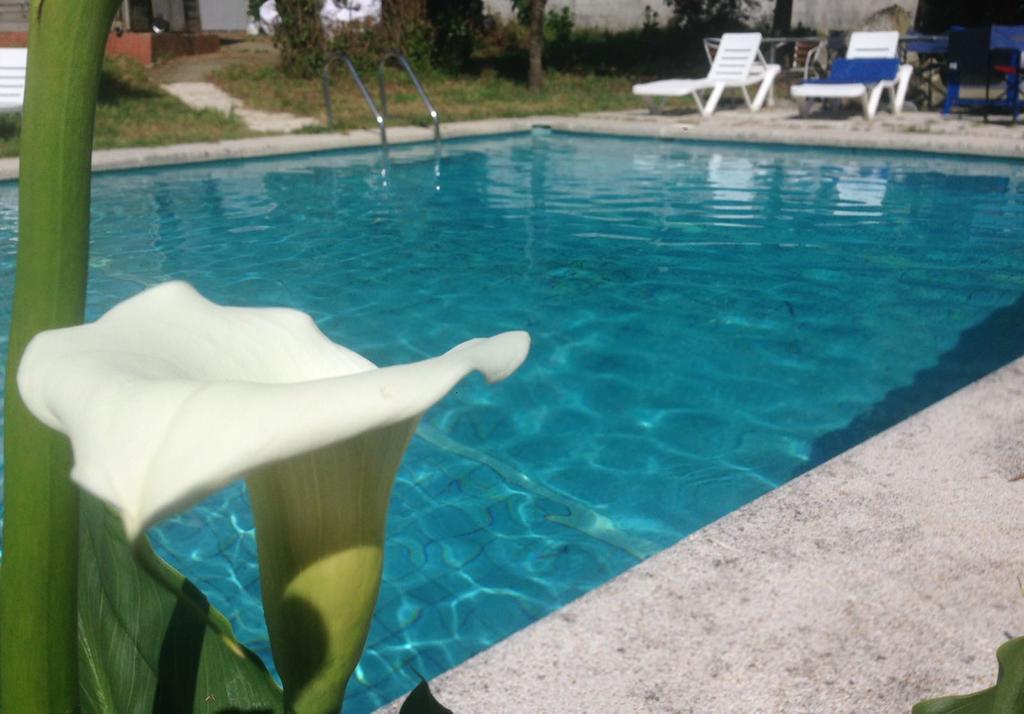 Hotel Vida Playa Paxarinas Vera Dış mekan fotoğraf